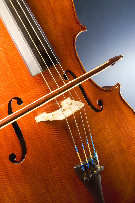 CELLO GLOSSY POSTER PICTURE PHOTO BANNER PRINT violincello string