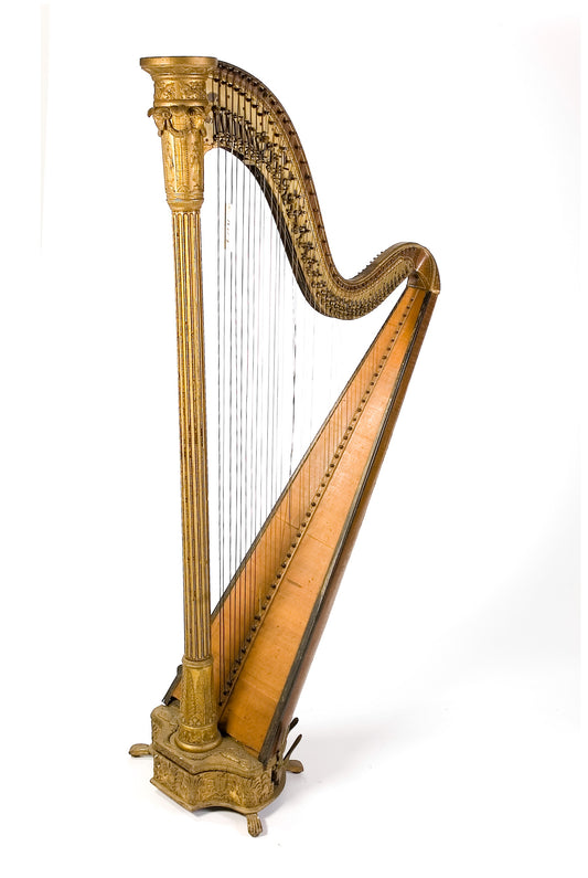 PEDAL HARP INSTRUMENT GLOSSY POSTER PICTURE PHOTO BANNER PRINT