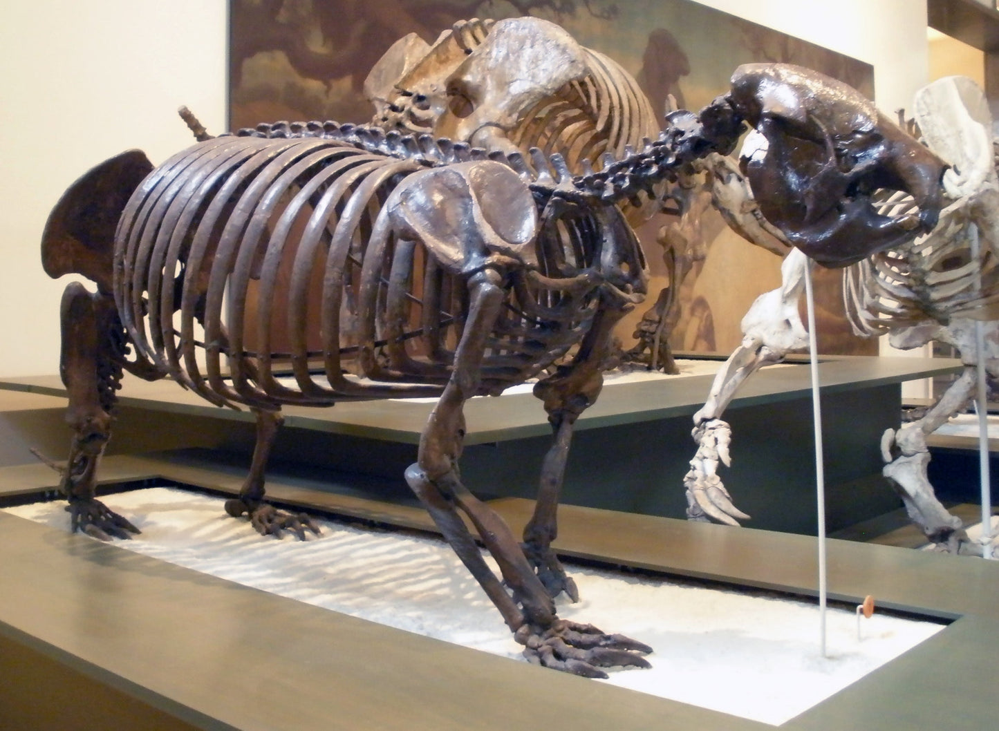 Extinct Megalocnus Ground Sloth Glossy Poster Picture Photo Print Banner Conversationprints