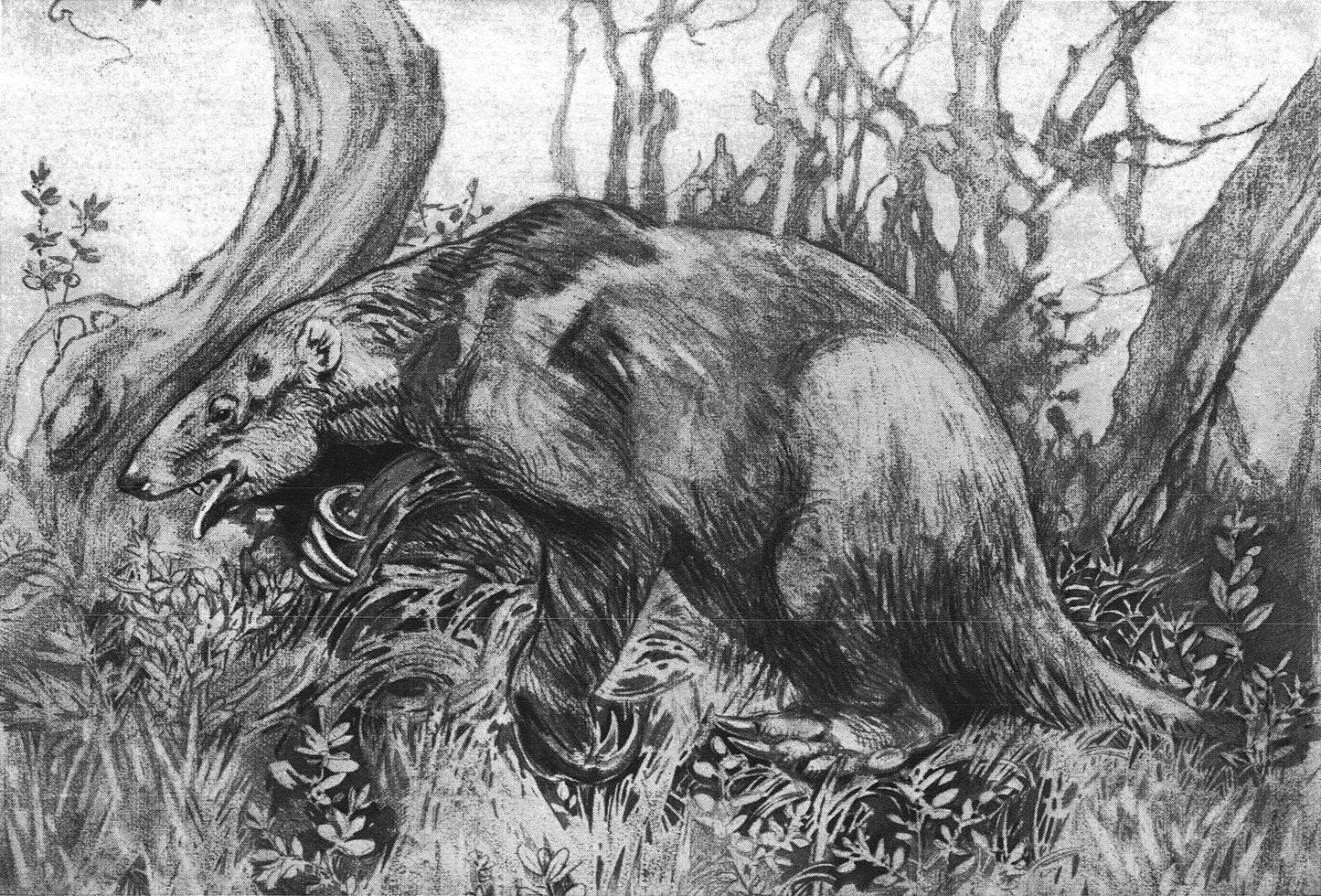 Extinct Paramylodon Sloth Glossy Poster Picture Photo Print Banner Conversationprints