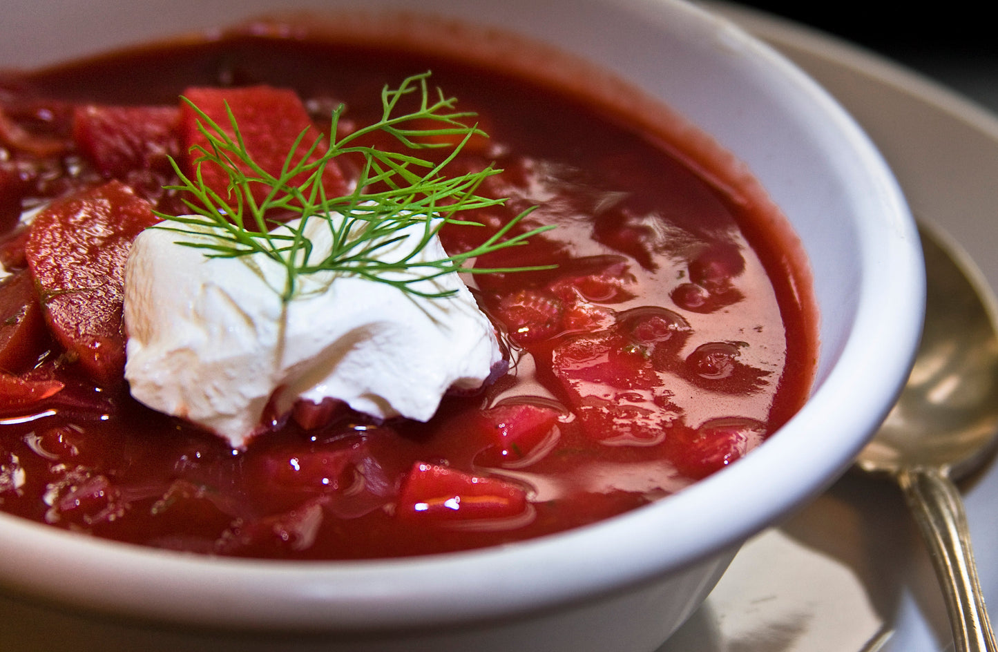 Borscht Beet Soup Glossy Poster Picture Photo Print Banner Conversationprints