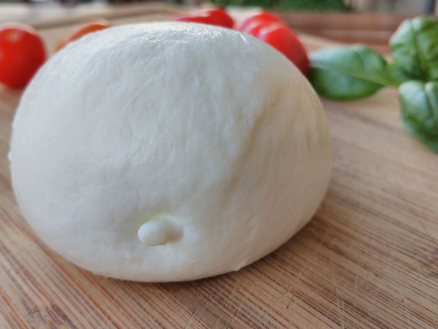 Mozzarella Cheese Ball Bufala Glossy Poster Picture Photo Print Banner Conversationprints