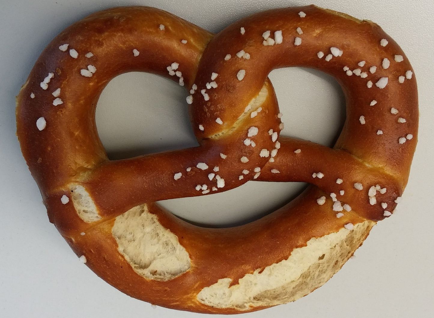 Salted Pretzel Glossy Poster Picture Photo Print Banner Conversationprints