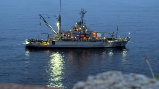 Usns Grapple Salvage Navy Ship Glossy Poster Picture Photo Print Banner Conversationprints