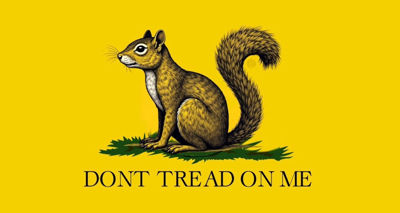 Don’T Tread On Me Squirel Peanut Glossy Poster Picture Photo Print Banner Conversationprints