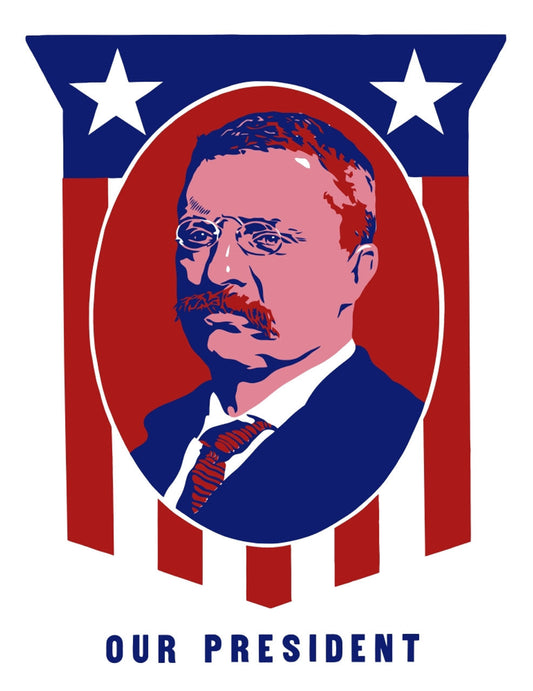 Theodore Roosevelt Campaign Ad Glossy Poster Picture Photo Print Banner Conversationprints