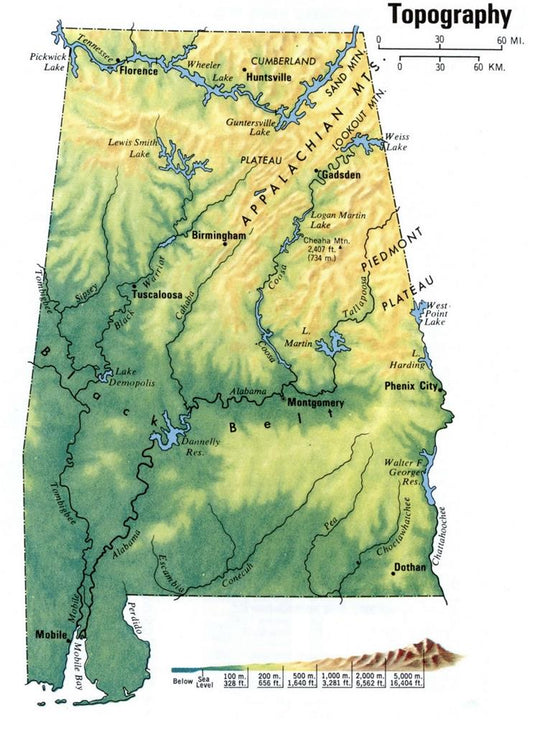 Alabama Topography Map Glossy Poster Picture Photo Print Banner Al Conversationprints