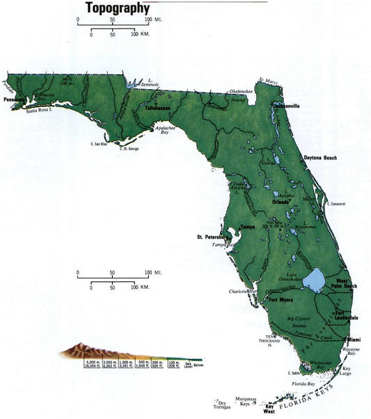 Florida Topography Map Glossy Poster Picture Photo Print Banner Fl Usa Conversationprints