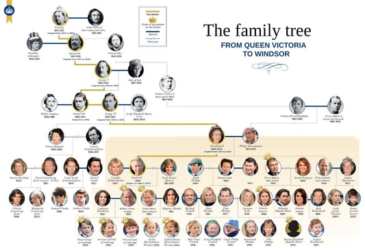 Britain Royal Windsor Family Tree Glossy Poster Picture Photo Print Banner Conversationprints