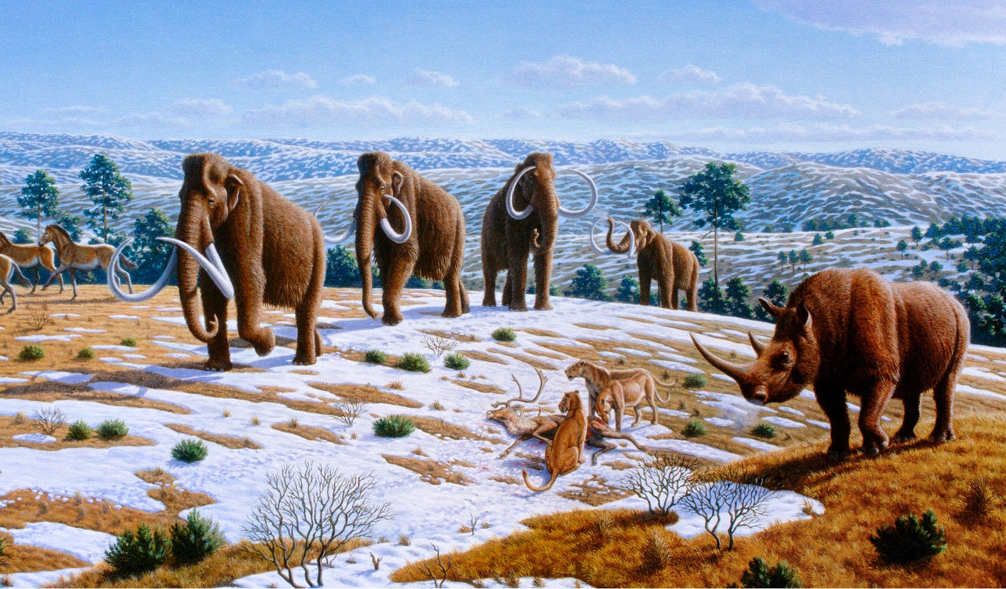 Wolly Mammoths Herd Glossy Poster Picture Photo Print Banner Conversationprints