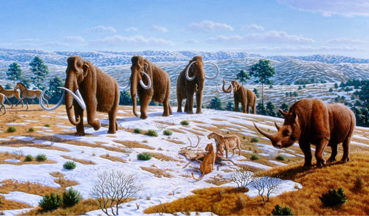 Wolly Mammoths Herd Glossy Poster Picture Photo Print Banner Conversationprints