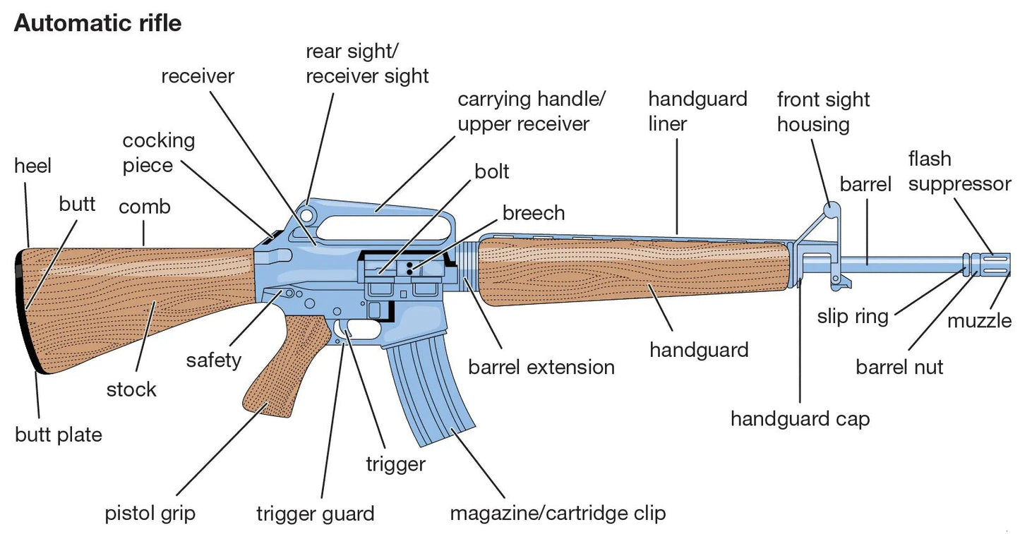 M16 Automatic Rifle Gun Diagram Glossy Poster Picture Photo Print Banner Conversationprints