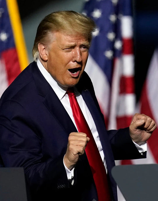 Donald Trump Dance Flag Usa Glossy Poster Picture Photo Print Banner Conversationprints