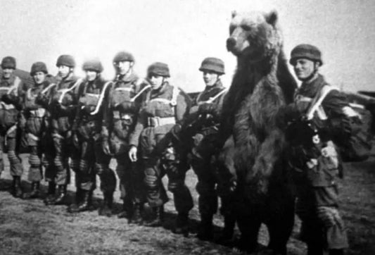 Wojtek Bear Ww1 Polish Army Glossy Poster Picture Photo Print Banner Conversationprints