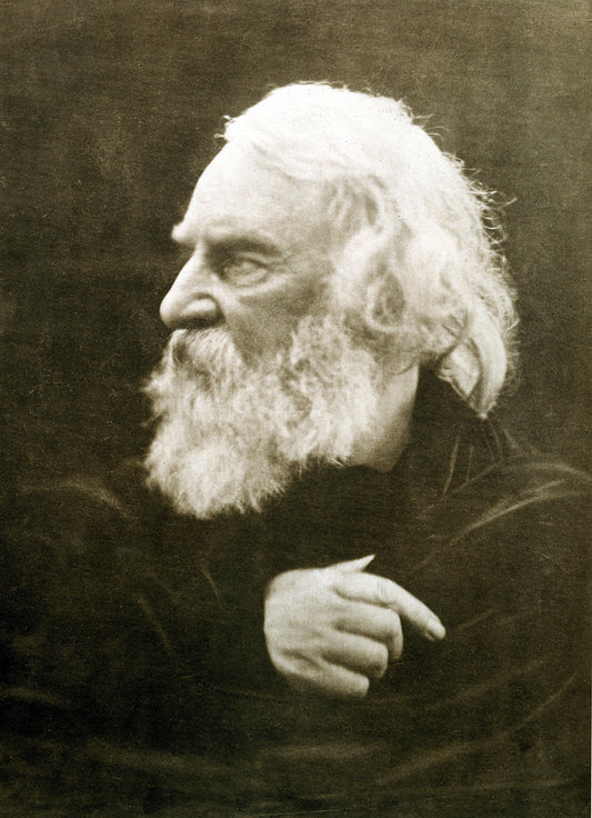 Henry Wadsworth Longfellow Poetry Glossy Poster Picture Photo Print Banner  Conversationprints