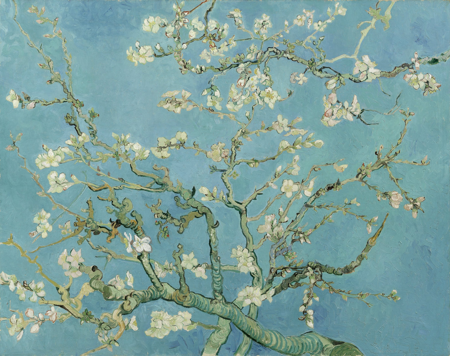 Van Gogh Almond Blossoms Glossy Poster Picture Photo Print Banner  Conversationprints