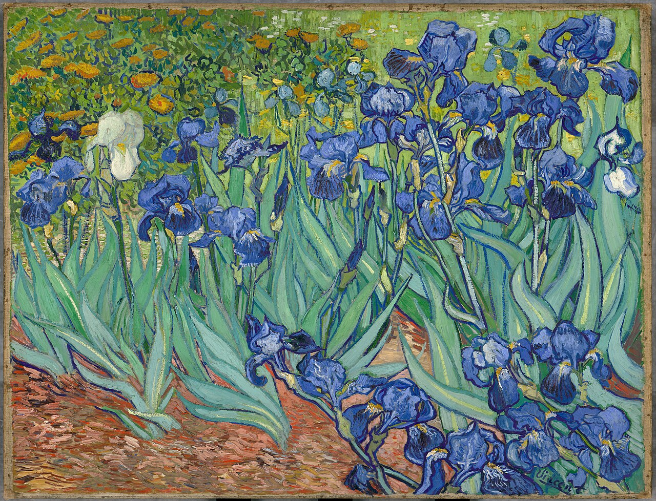 Van Gogh Irises Glossy Poster Picture Photo Print Banner  Conversationprints