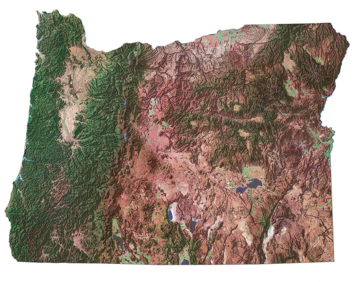Oregon Satellite Map Glossy Poster Picture Photo Print Banner  Conversationprints