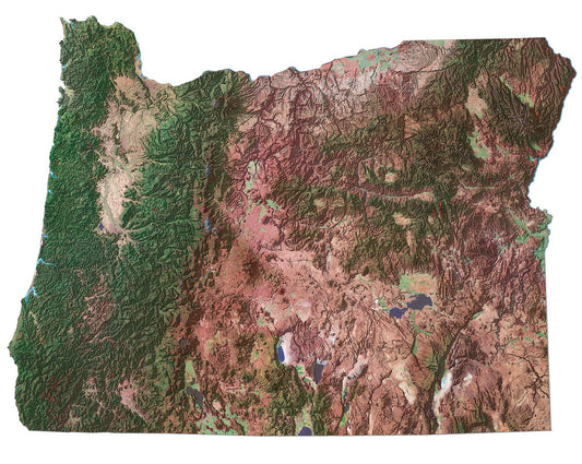 Oregon Satellite Map Glossy Poster Picture Photo Print Banner  Conversationprints