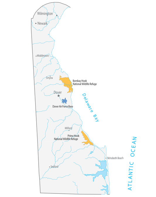 Delaware County Map Glossy Poster Picture Photo Print Banner  Conversationprints