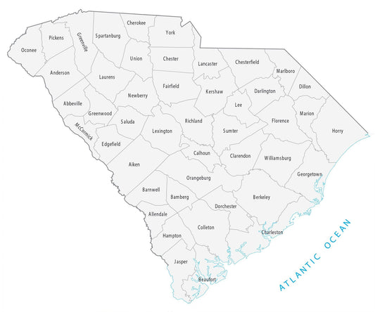 South Carolina County Map Glossy Poster Picture Photo Print Banner  Conversationprints