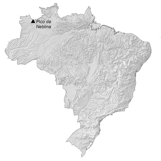 Brazil Elevation Map Glossy Poster Picture Photo Print Banner  Conversationprints
