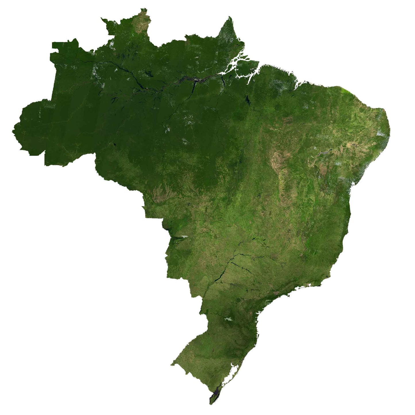 Brazil Satellite Map Glossy Poster Picture Photo Print Banner  Conversationprints