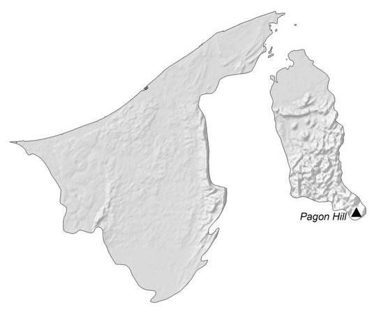 Brunei Elevation Map Glossy Poster Picture Photo Print Banner  Conversationprints