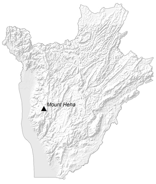 Burundi Elevation Map Glossy Poster Picture Photo Print Banner  Conversationprints