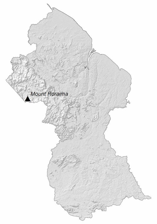 Guyana Elevation Map GLOSSY POSTER PICTURE PHOTO PRINT BANNER  CONVERSATIONPRINTS