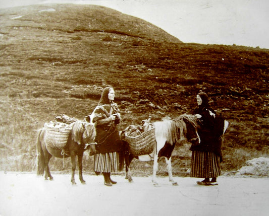 Shetland Pony Ponies 1900 GLOSSY POSTER PICTURE PHOTO PRINT BANNER  CONVERSATIONPRINTS