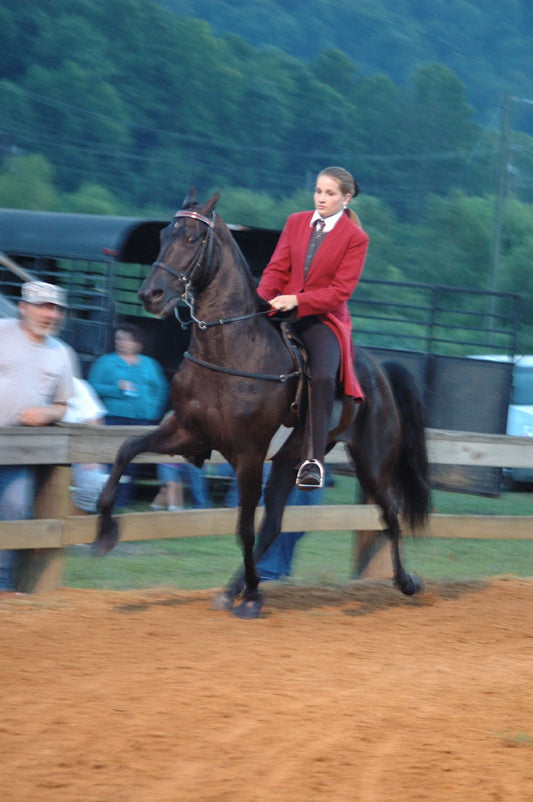 Tennessee Walking Horse & Rider Glossy Poster Picture Photo Print Banner  Conversationprints