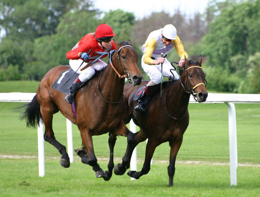 Thoroughbred Horses & Riders Glossy Poster Picture Photo Print Banner  Conversationprints