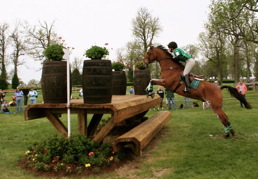 Thoroughbred Horse Jumping Glossy Poster Picture Photo Print Banner  Conversationprints