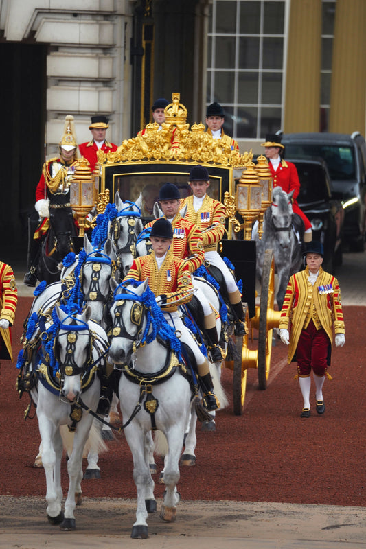 Windsor Grey Horse Breed Royal GLOSSY POSTER PICTURE PHOTO PRINT BANNER  CONVERSATIONPRINTS