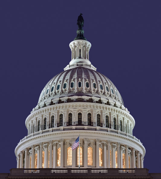 Capitol Rotunda Building Dome Exterior Poster Picture Photo Print Banner  Conversationprints