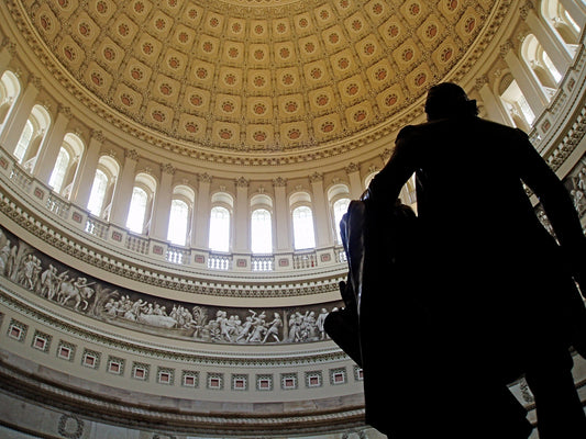 Capitol Rotunda Building Dome Interior Poster Picture Photo Print Banner  Conversationprints