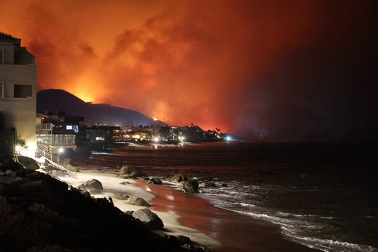 California Wildfires 2025 Palisades Poster Picture Photo Print Banner  Conversationprints