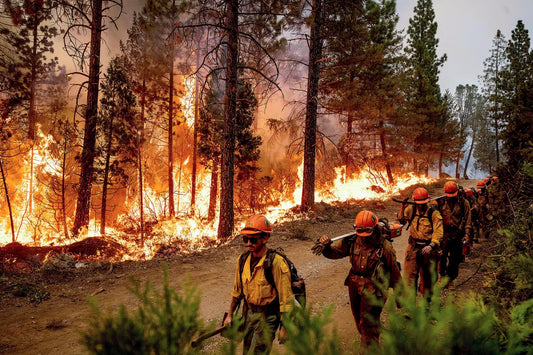 California Wildfires 2025 Firefighters Poster Picture Photo Print Banner  Conversationprints