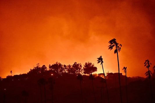California Wildfires 2025 Palm Trees Poster Picture Photo Print Banner  Conversationprints