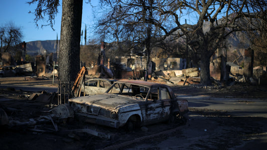 California Wildfires 2025 Burnt Car Poster Picture Photo Print Banner  Conversationprints