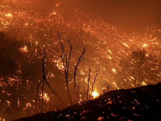 California Wildfires 2025 Flames Glossy Poster Picture Photo Print Banner  Conversationprints