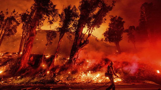 California Wildfires 2025 La Glossy Poster Picture Photo Print Banner  Conversationprints
