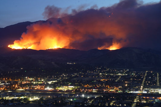 California Wildfires 2025 Flames La Poster Picture Photo Print Banner  Conversationprints