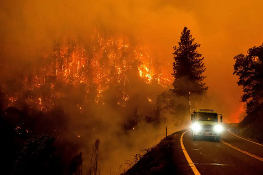 California Wildfires 2025 Firetruck Road Poster Picture Photo Print Banner  Conversationprints