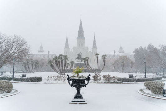 New Orleans Snow Cathedral 2025 Glossy Poster Picture Photo Print Banner  Conversationprints