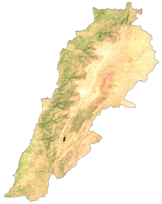 Lebanon Satellite Map Glossy Poster Picture Photo Print Banner  Conversationprints