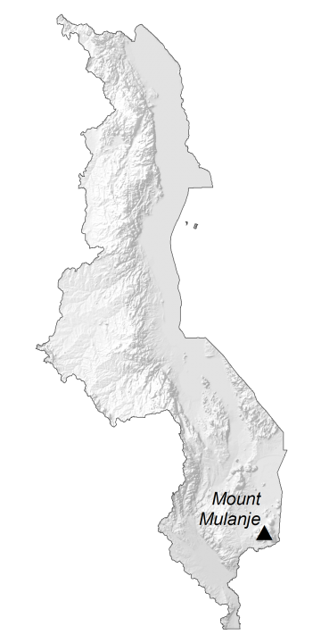 Malawi Elevation Map Glossy Poster Picture Photo Print Banner  Conversationprints