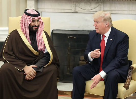 Trump Saudi Crown Prince Bin Salman Poster Picture Photo Print Banner  Conversationprints