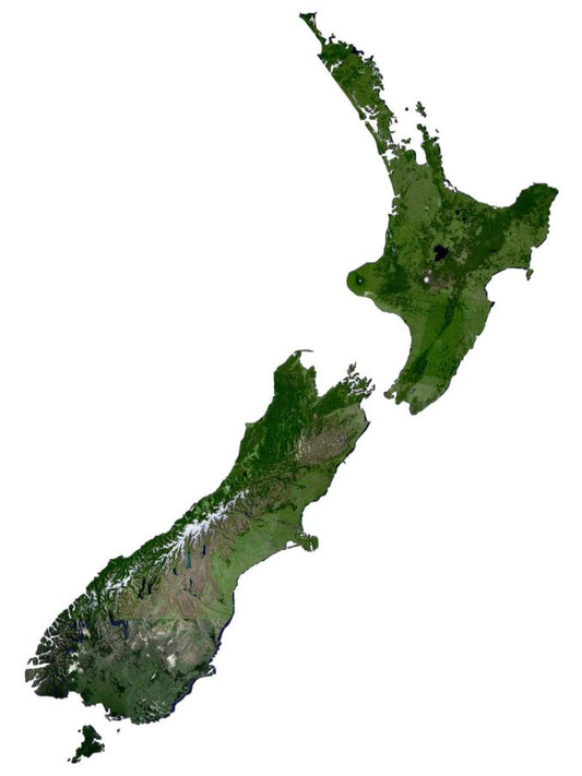 New Zealand Satellite Map Glossy Poster Picture Photo Print Banner  Conversationprints
